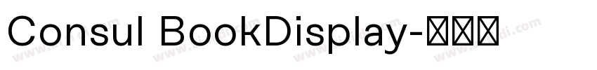 Consul BookDisplay字体转换